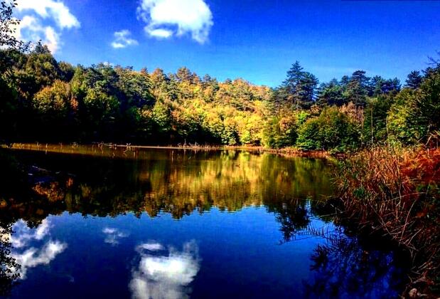 Sekoya Dağ Evi - Görsel 3