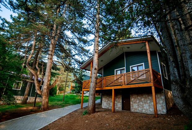 Başkonuş Yaylası Orman Evleri - Görsel 8