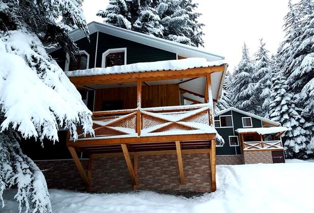 Başkonuş Yaylası Orman Evleri - Görsel 3