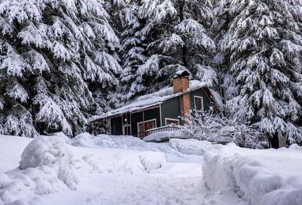 Başkonuş Yaylası Orman Evleri - Görsel 4