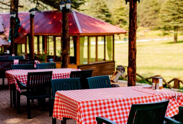 Başkonuş Yaylası Orman Evleri - Görsel 11