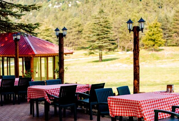 Başkonuş Yaylası Orman Evleri - Görsel 12