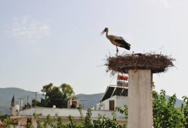 Barim Pansiyon - Görsel 11