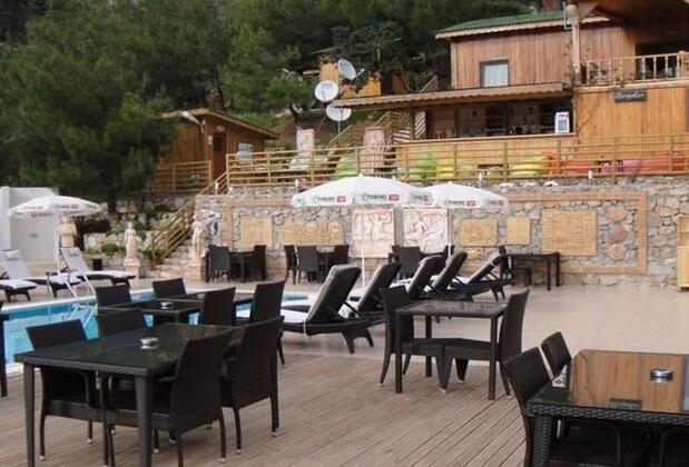 Tree House Kabak - Görsel 10