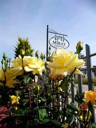 Miray Guest House - Görsel 7