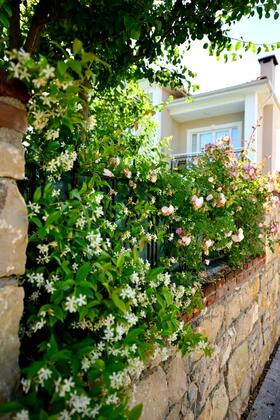 Şehzade Konakları - Görsel 24