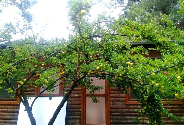 Mentor Otel - Görsel 5