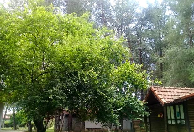 Mentor Otel - Görsel 9