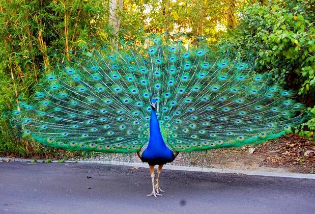 Mentor Otel - Görsel 8