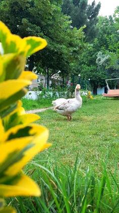 Saklı Dere Butik Otel - Görsel 14