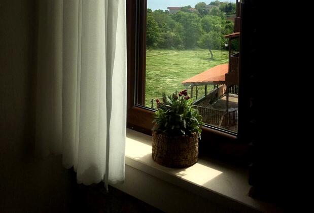 İğneada Taş Ev - Görsel 8