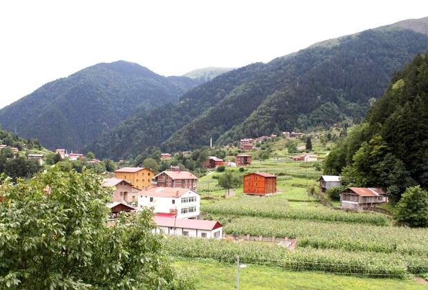 Zahra Apart Hotel - Görsel 6