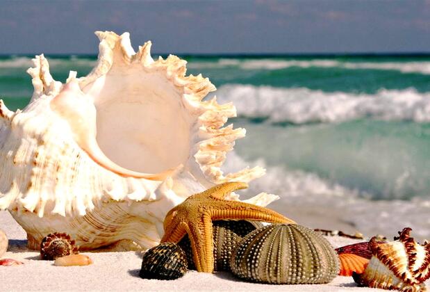 Aydın Otel - Görsel 23