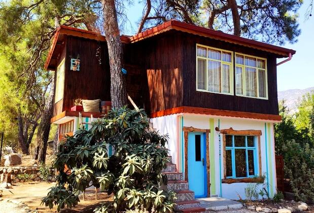 Kunduz Kamp - Görsel 7