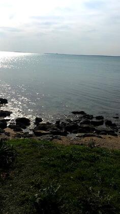 As Nikonya Otel - Görsel 3