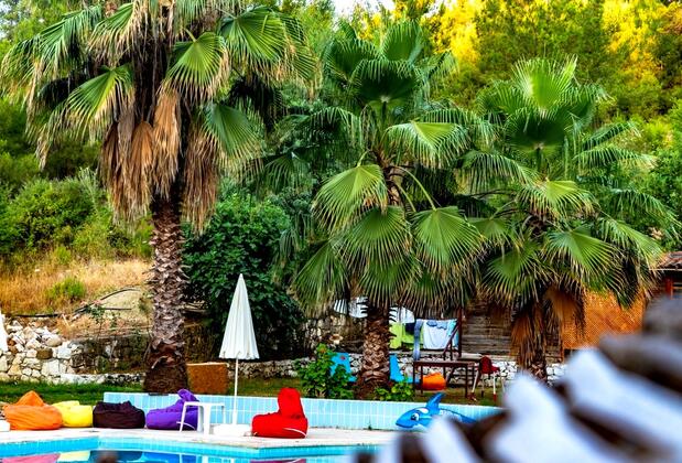 Olympos Forest House - Görsel 8