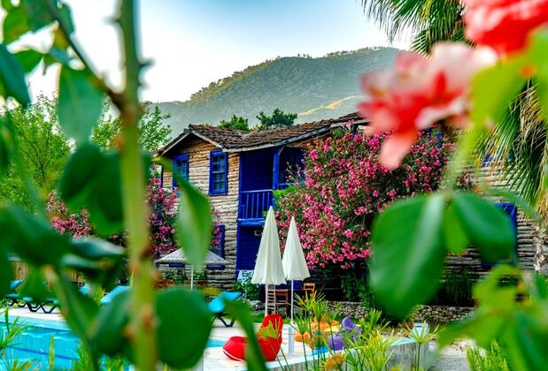 Olympos Forest House - Görsel 12