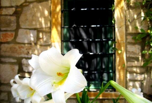 Arhalya Taş Konak - Görsel 9