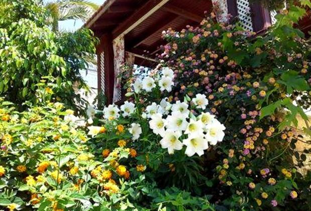 Arhalya Taş Konak - Görsel 8