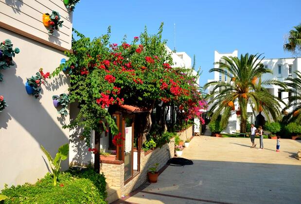 Palm Beach Arsuz - Görsel 28