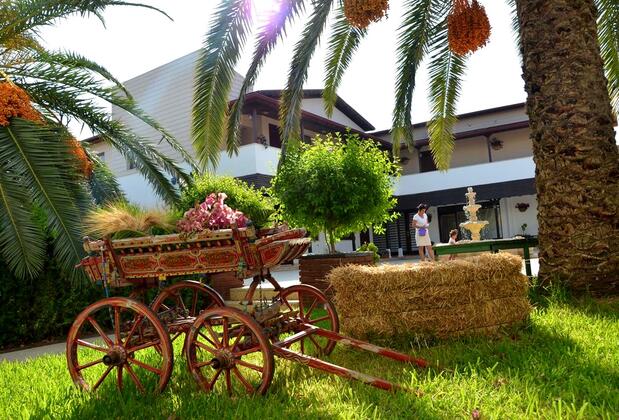 Palm Beach Arsuz - Görsel 37