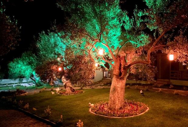 Balım Butik Hotel - Görsel 11