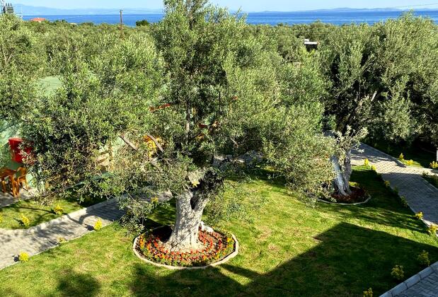 Balım Butik Hotel - Görsel 13