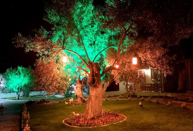 Balım Butik Hotel - Görsel 15