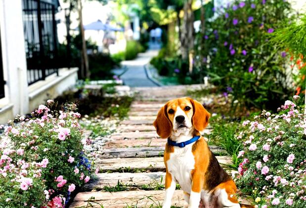 Yalı Apart Residence - Görsel 4