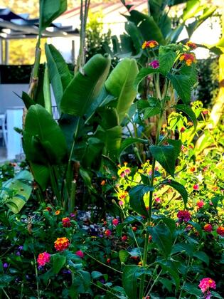 Yalı Apart Residence - Görsel 9