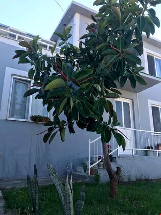 Likya Evleri Demre - Görsel 9