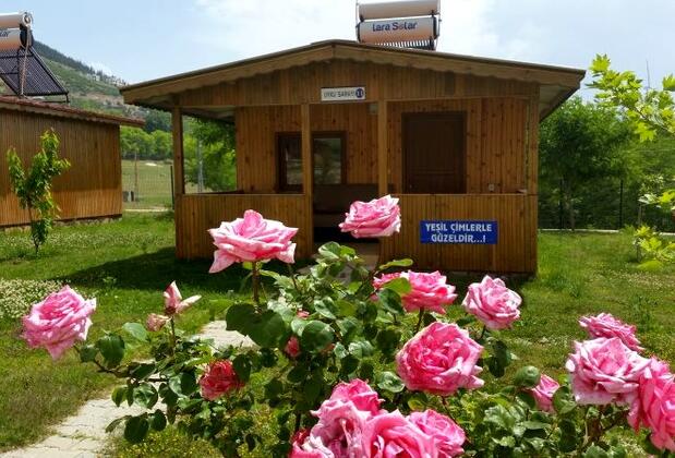 Varlıbaş Uyku Sarayı - Görsel 8