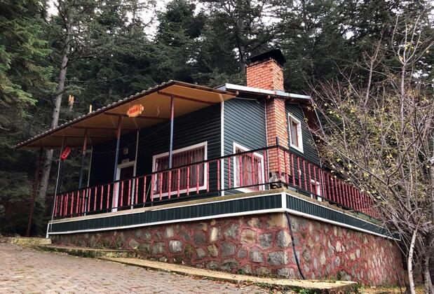 Başkonuş Yaylası Orman Evleri - Görsel 22