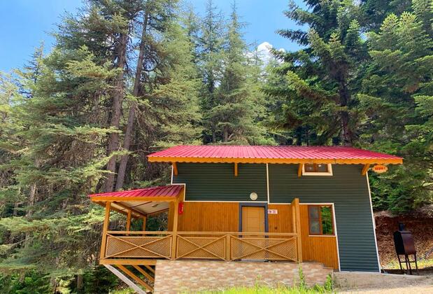 Başkonuş Yaylası Orman Evleri - Görsel 23