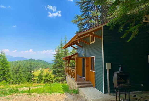 Başkonuş Yaylası Orman Evleri - Görsel 24