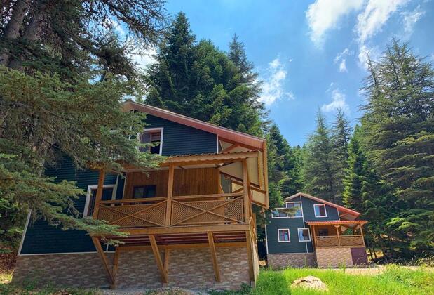 Başkonuş Yaylası Orman Evleri - Görsel 25