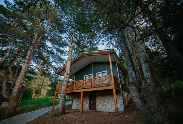 Başkonuş Yaylası Orman Evleri - Görsel 26