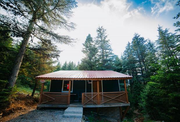 Başkonuş Yaylası Orman Evleri - Görsel 27