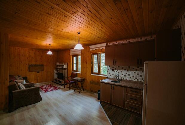 Başkonuş Yaylası Orman Evleri - Görsel 28