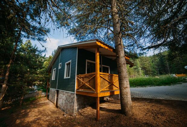 Başkonuş Yaylası Orman Evleri - Görsel 31