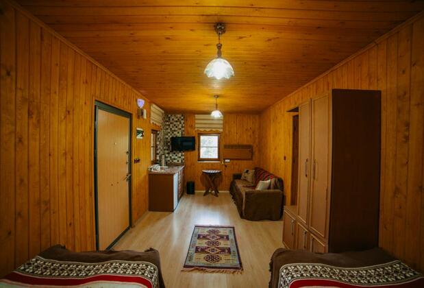 Başkonuş Yaylası Orman Evleri - Görsel 32