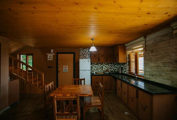 Başkonuş Yaylası Orman Evleri - Görsel 38
