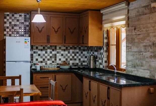 Başkonuş Yaylası Orman Evleri - Görsel 48