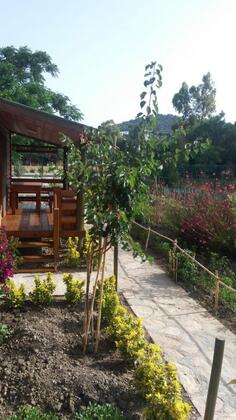 Defne Wood Home - Görsel 5