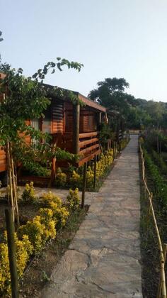 Defne Wood Home - Görsel 6