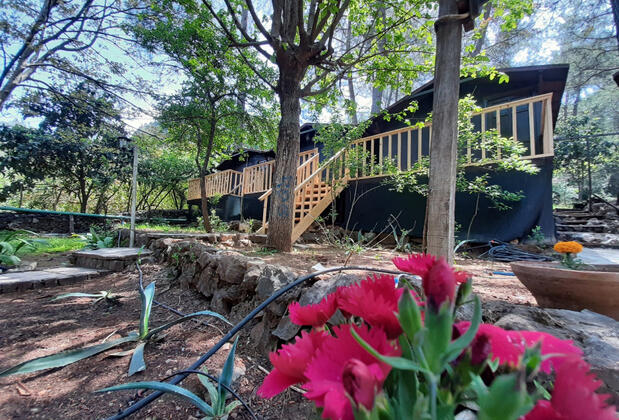 Altaris Pansiyon Olympos - Görsel 13