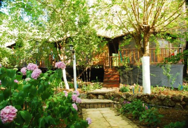 Altaris Pansiyon Olympos - Görsel 14