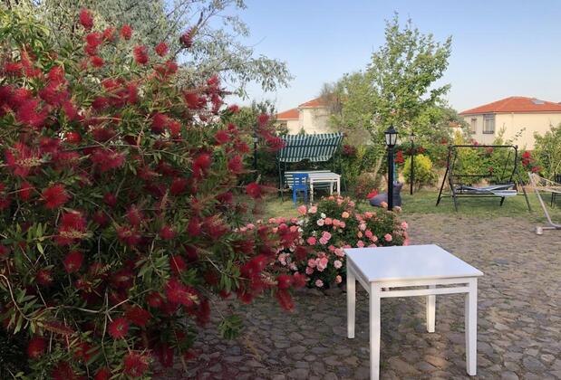 Cunda La Vie Otel - Görsel 33
