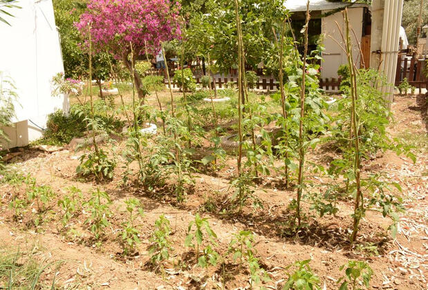 Hermess Otel - Görsel 4