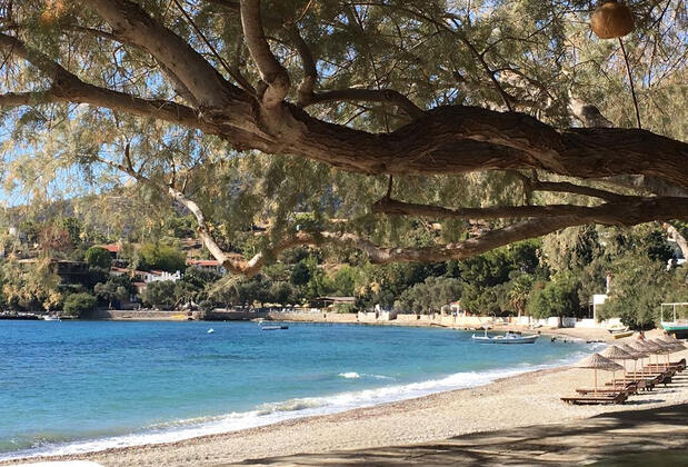 Yakamoz Pansiyon Mazı - Görsel 6